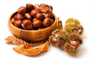 prostatitis tratatzeko gaztaina