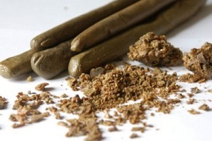 prostatitisaren tratamendurako propoli supositorioak