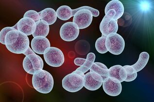 gizonezkoen bakteriaren prostatitisaren eragilea