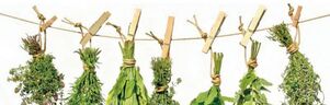 prostatitisaren belar eraginkorrak